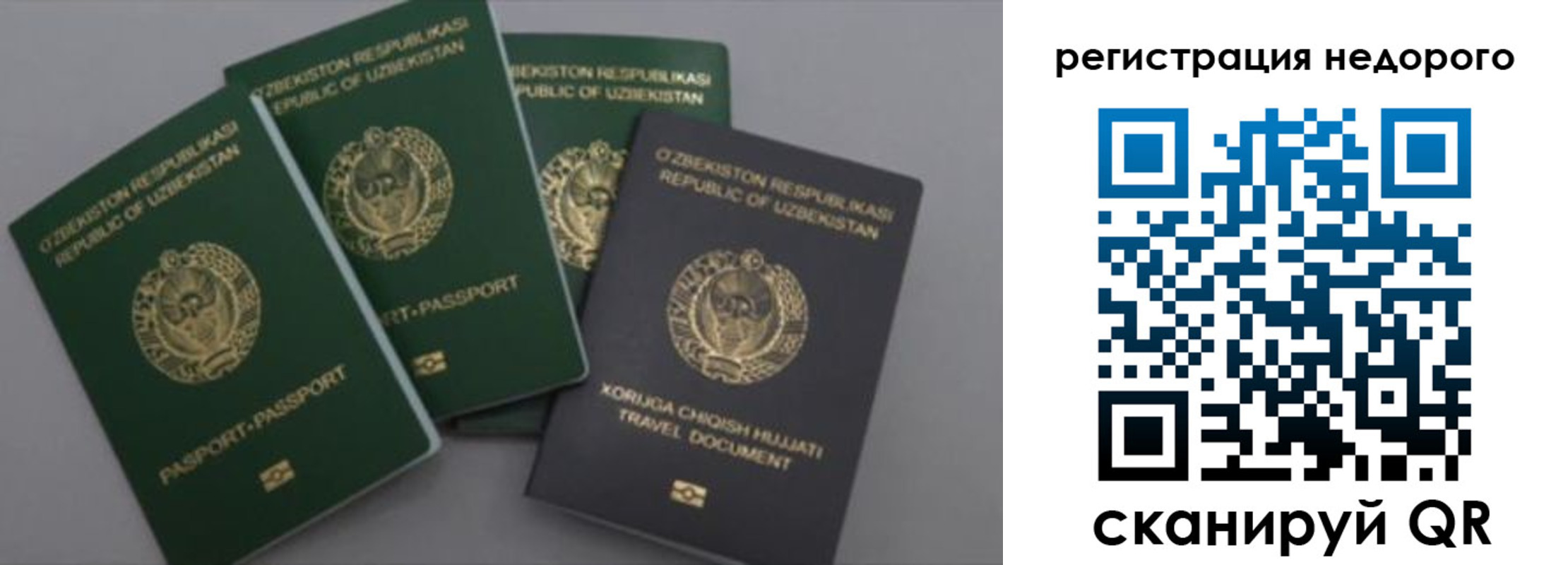 пропишу в квартире в Петрозаводске